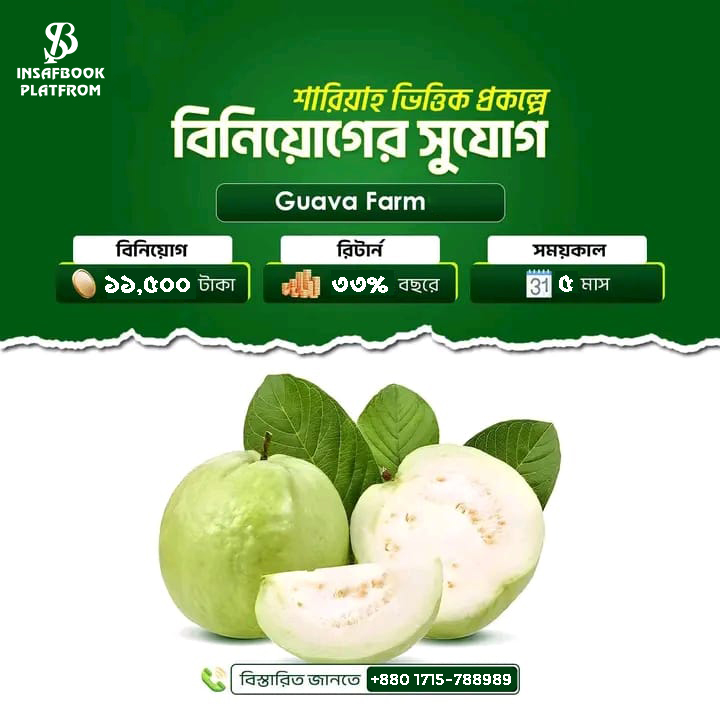 Guava Project